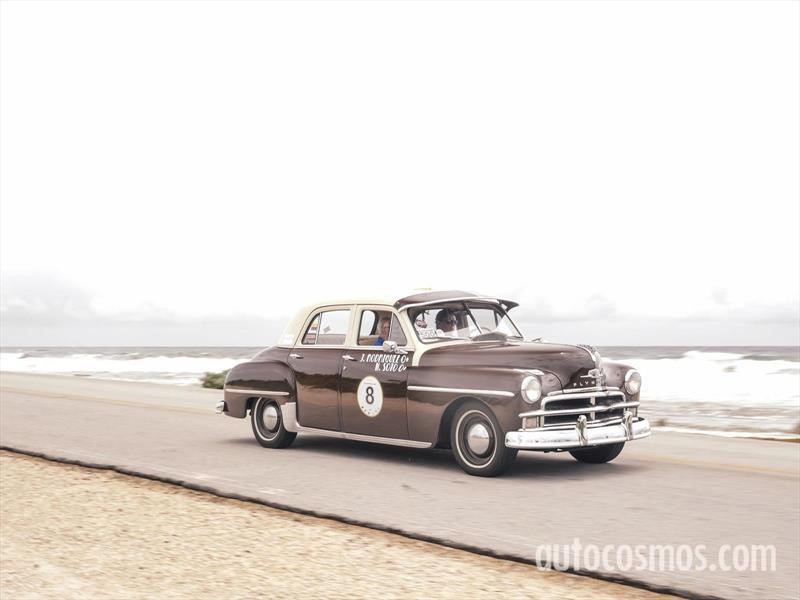 Rally Maya 2018