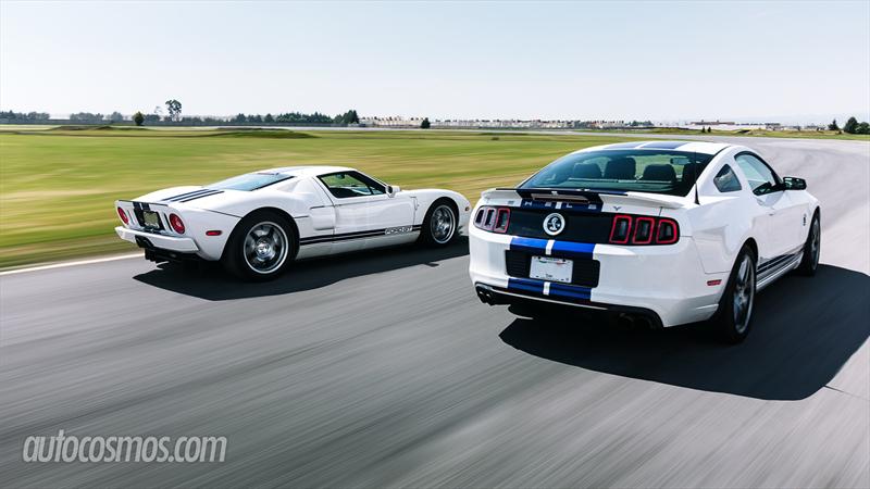 Ford Mustang Shelby GT500 2013 y Ford GT
