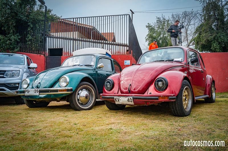 Dia del Escarabajo 2018