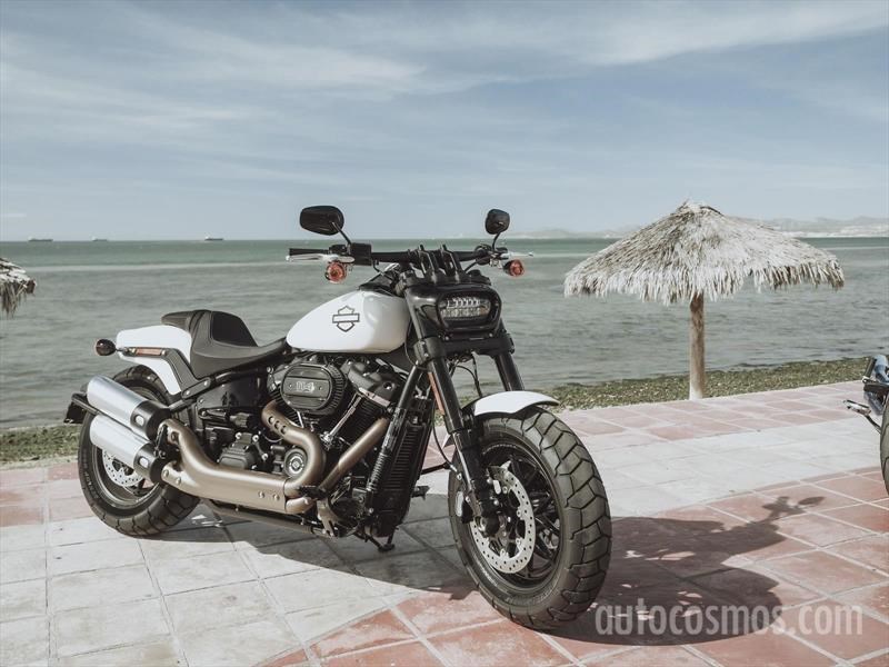 Harley Davidson rodada en Los Cabos