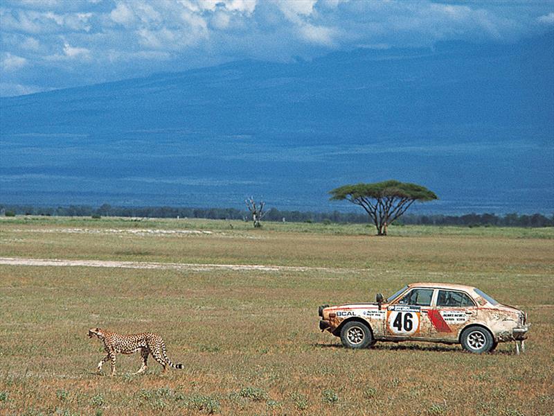 Top 10: Rally Safari (Africa)