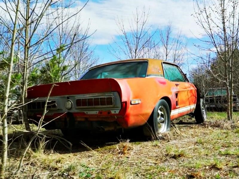 Ford Mustang Shelby GT500 EXP