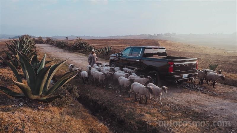 Chevrolet Cheyenne 2019