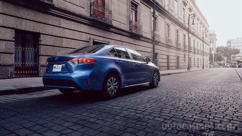 Toyota Corolla Híbrido 2020