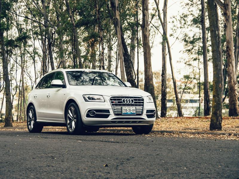 Audi SQ5 2014