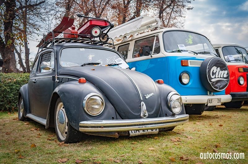 Dia del Escarabajo 2018