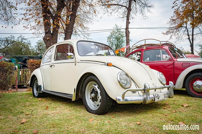 Dia del Escarabajo 2018