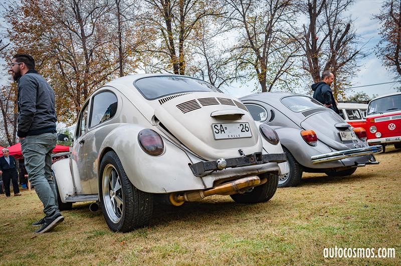 Dia del Escarabajo 2018