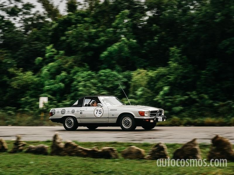 Rally Maya 2018