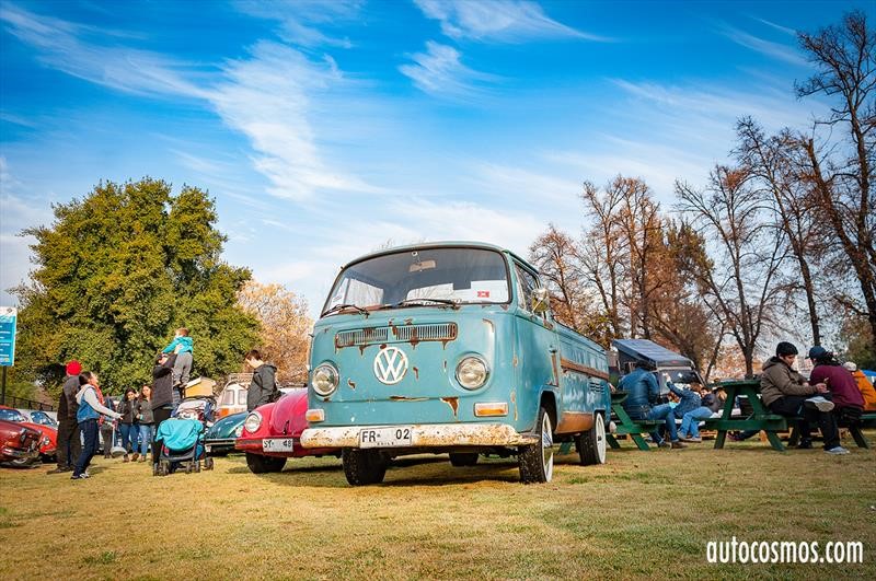 Dia del Escarabajo 2018