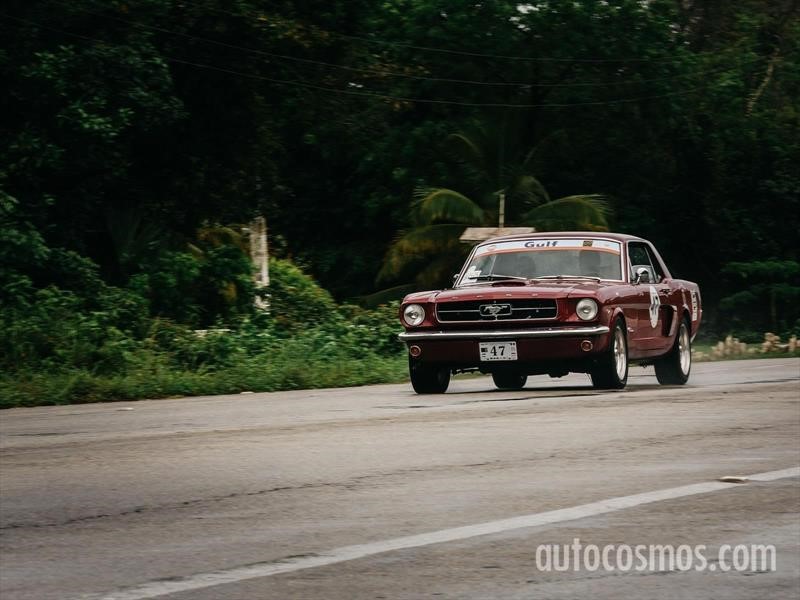 Rally Maya 2018