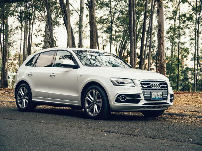 Audi SQ5 2014