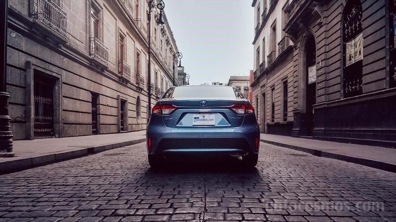 Toyota Corolla Híbrido 2020