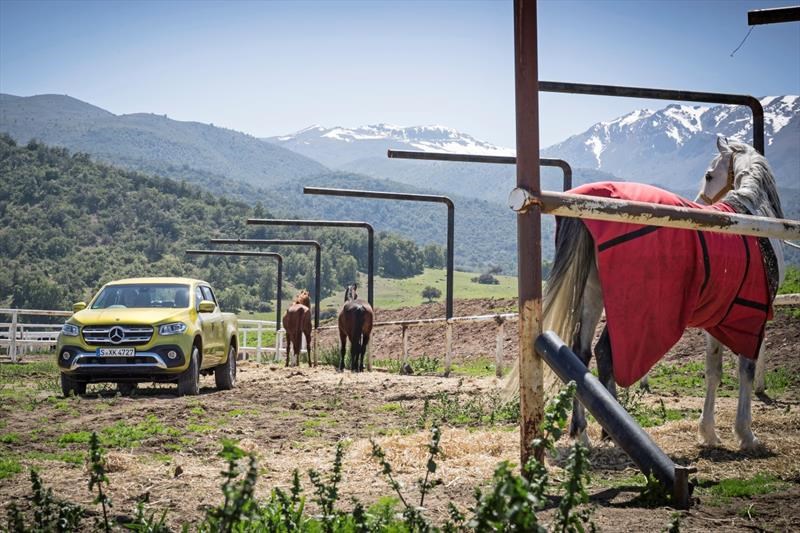 Mercedes Benz Clase X 2019