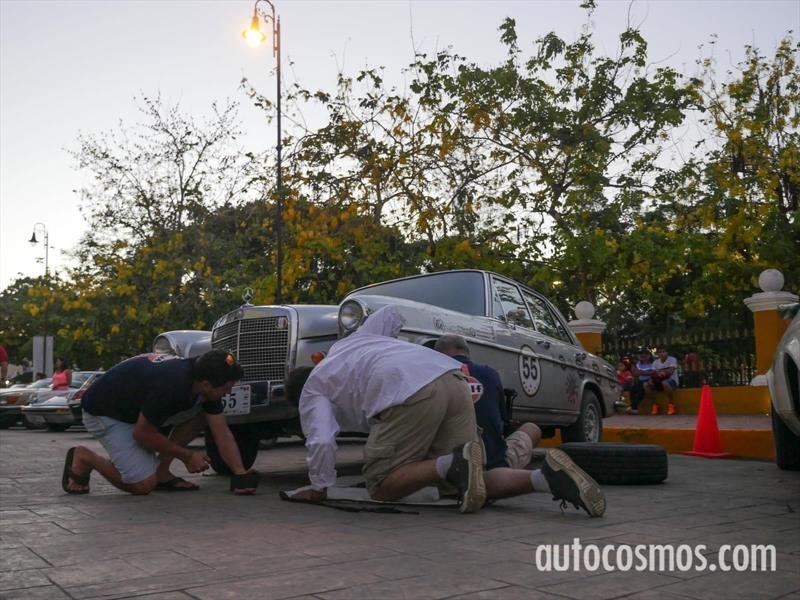 Rally Maya 2018