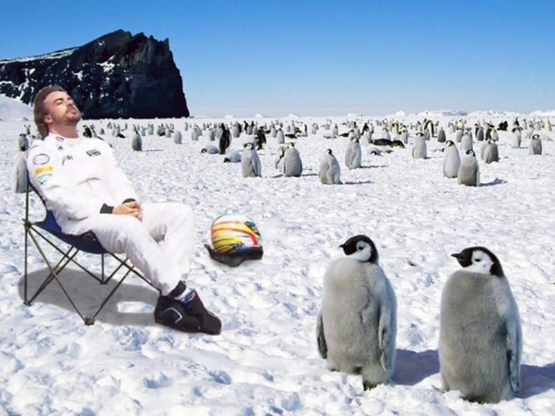 Memes de Fernado Alonso en el GP de Brasil 2015