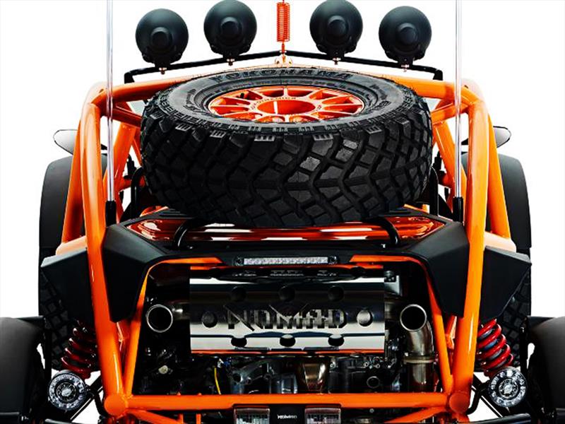 Ariel Nomad