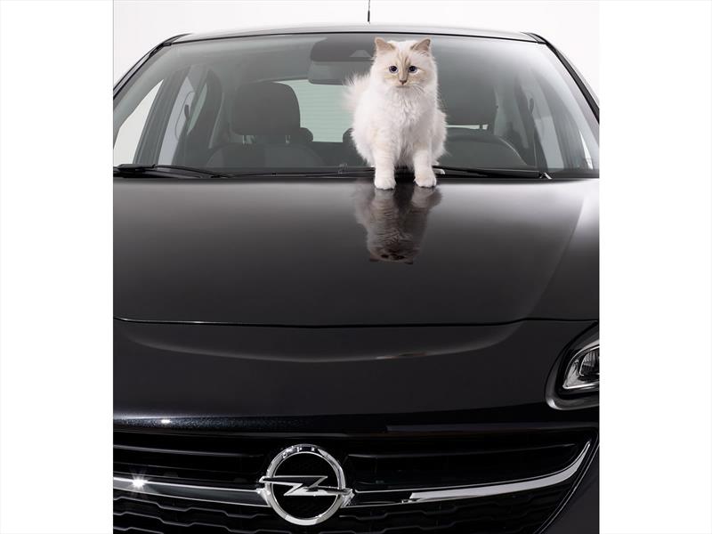 Calendario Opel Corsa 2015