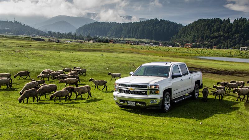 Chevrolet Cheyenne 2014