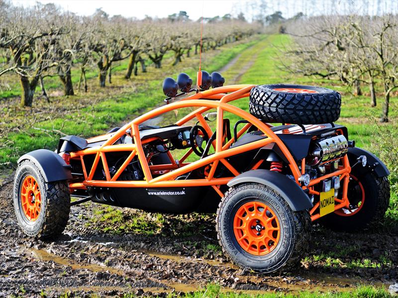 Ariel Nomad