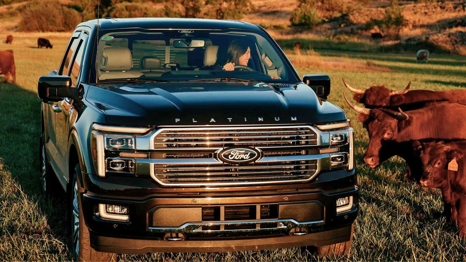 Ford Lobo 2026 llega a México, la leyenda reajusta su oferta, conoce precios y versiones