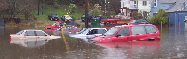 Tips para no comprar un auto que se haya inundado