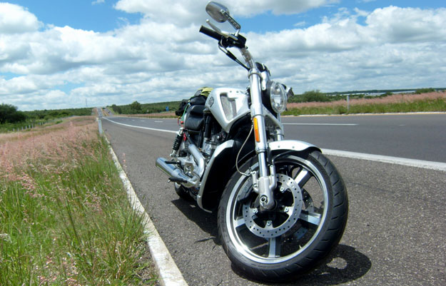 Harley Davidson V-Rod Muscle 2010 a prueba