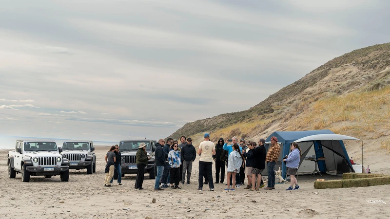 Jeep Argentina trabaja en la limpieza de la Península de Valdés