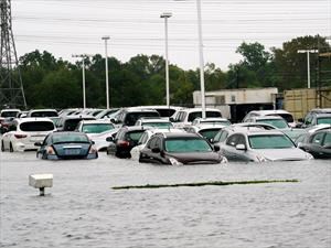500.000 carros son destruidos por el huracán Harvey en EE.UU.