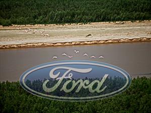 Ford Argentina colabora para salvar los bosques chaqueños