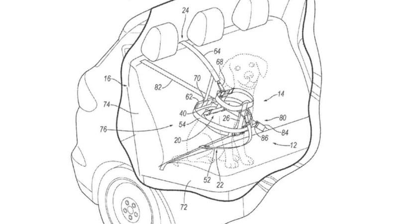 Ford registra la patente de un arnés especial para transportar mascotas