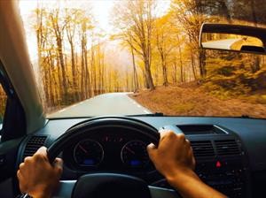 Consejos para conducir durante el otoño