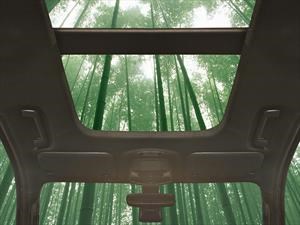 Ford piensa usar bambú en sus autos