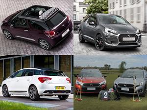 DS tendrá 5 nuevos modelos en Argentina durante 2017