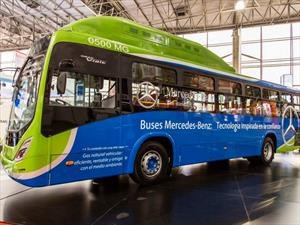 Mercedes-Benz llevó a la Costa Atlántica línea de buses a gas