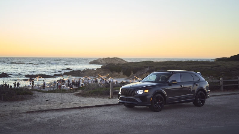 Bentley reforestará bosques de algas en EE.UU.