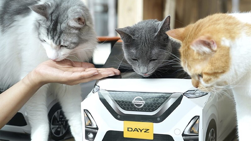 Gatos conducen un Nissan Dayz en Japón