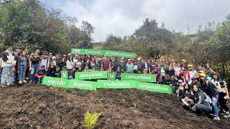 Bosque Toyota en Colombia ya supera los 28.600 árboles sembrados