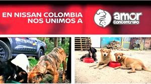 Nissan Colombia se solidariza con los animales abandonados en la cuarentena