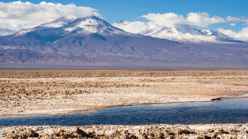 BMW se une a proyecto de extracción sostenible del litio en Chile