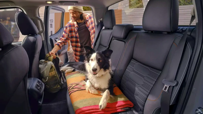Nissan impulsa la movilidad “pet friendly” en Colombia: claves para viajar con mascotas