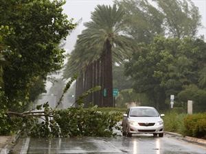 10 consejos para proteger el automóvil de un huracán 