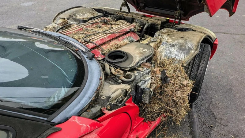 Dodge Viper vivió en las alturas por ¡30 años!