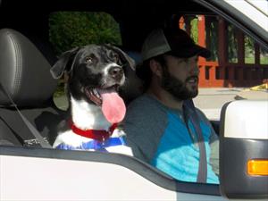Ford cuida a tu mascota si viaja contigo en el carro