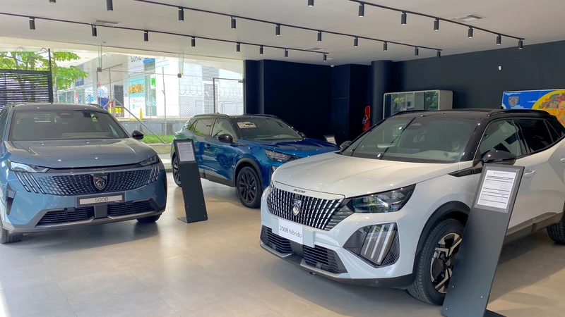 Peugeot refuerza su presencia en Medellín junto a automotor.co