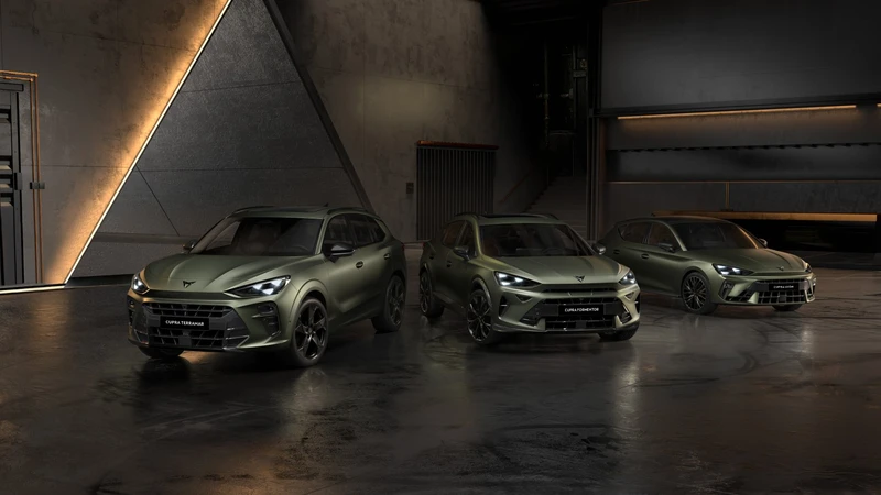 Cupra Tibe Edition, precios, modelos y versiones de estas ediciones especiales en México