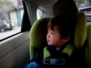 Amarrar a un niño con una correa era lo más seguro para viajar en EUA