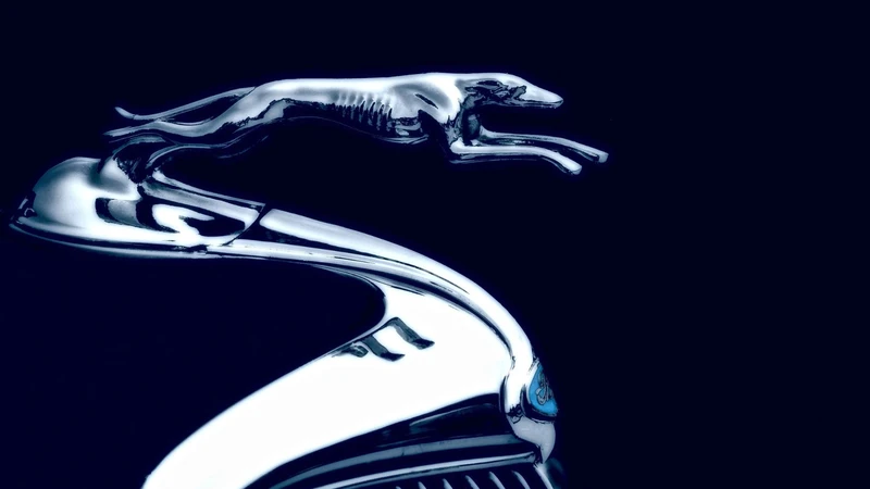 Día Mundial del Perro: 10 autos cuyo nombre se inspira en el mejor amigo del ser humano
