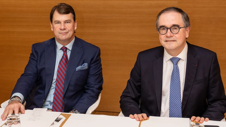 Alianza Renault Ford