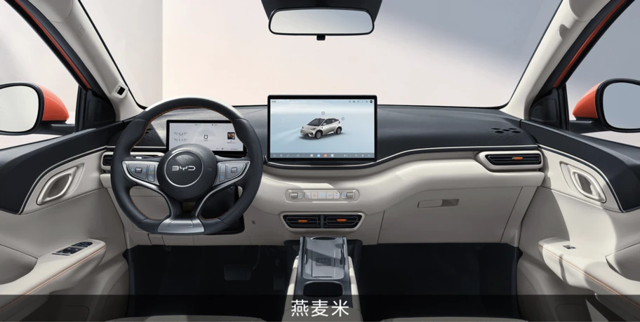 BYD DOLPHIN MINI 2026